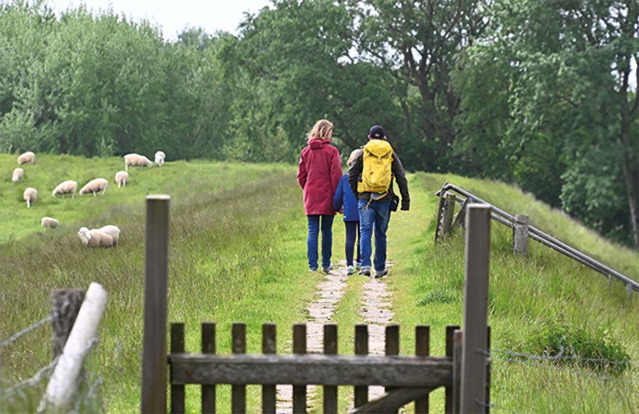 Deichspaziergang nach Büsum